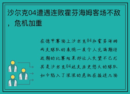 沙尔克04遭遇连败霍芬海姆客场不敌，危机加重